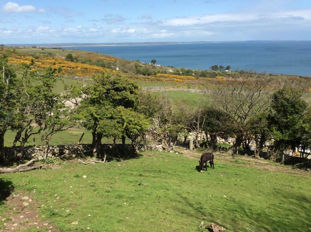Stunning Views At Ballagh Cottage Newcastle Newcastle  Exteriér fotografie